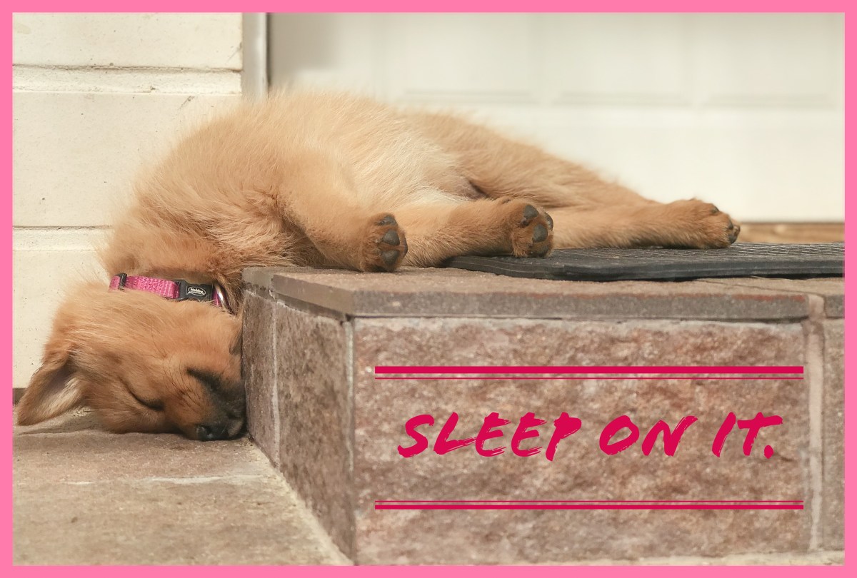 Dollylla ei ole mitään&nbsp;tekemistä