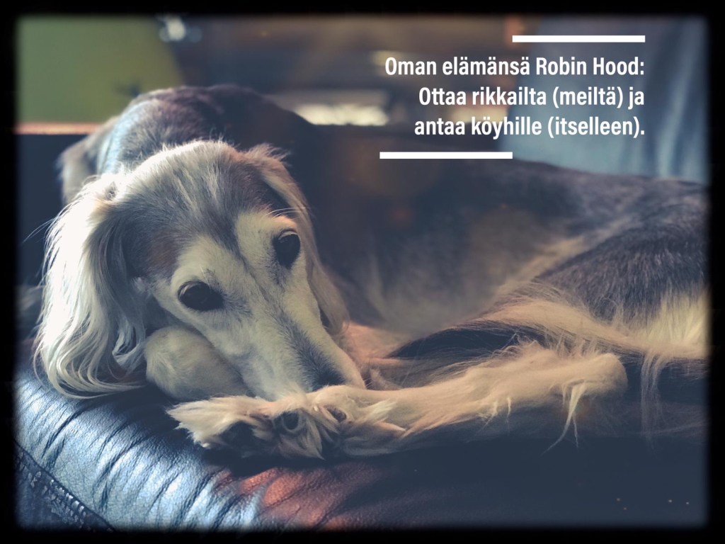 Tämän kuvan alt-attribuutti on tyhjä; Tiedoston nimi on 7d47e1a5-c4cb-455a-bcb8-4319f85e8bf0.jpg