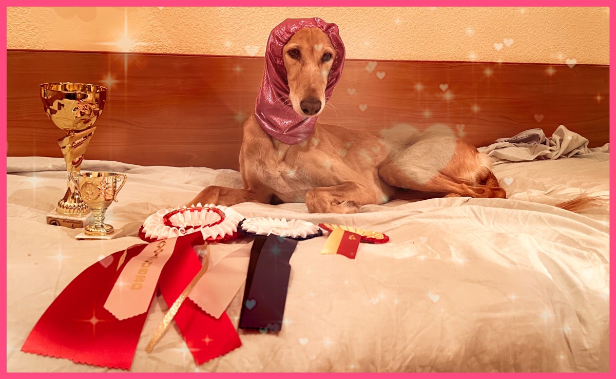 Hyvinkää, Narva, Valmiera, Narva…FI, EE, LV CH TLNJV-20 Farzeen&nbsp;Aleyah