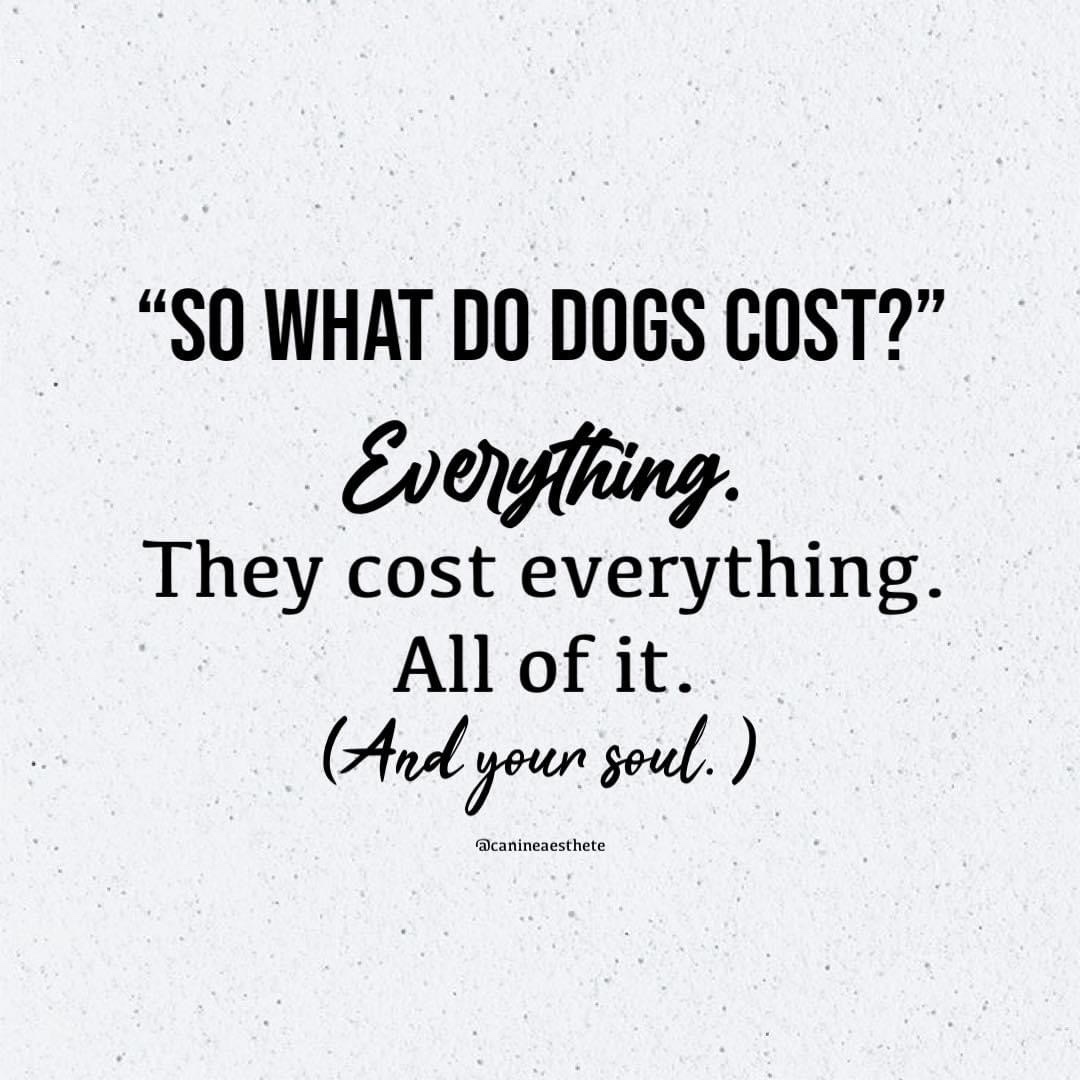 Osittainen sydänhalvaus vaskitsan tähden ja Dolly Kolilla sekä Sumun&nbsp;iskä