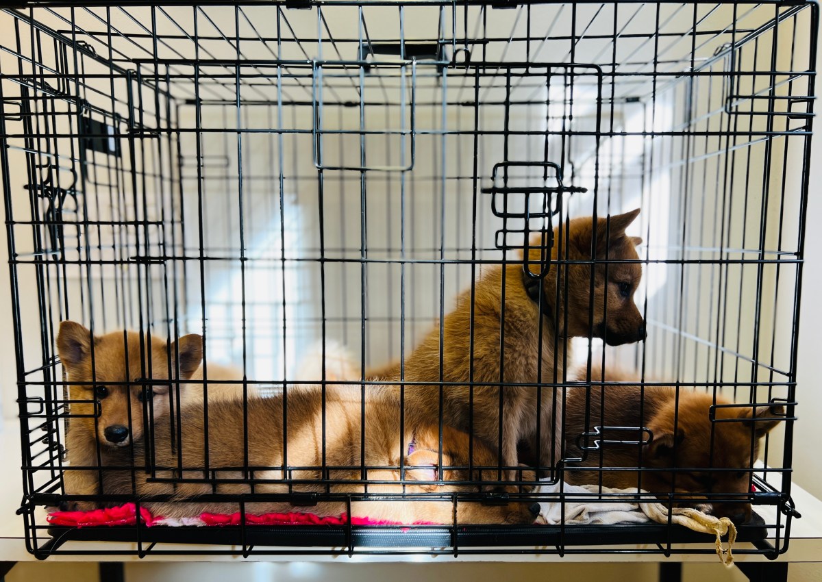 Lääkärintarkastus ja muut uudet&nbsp;kokemukset