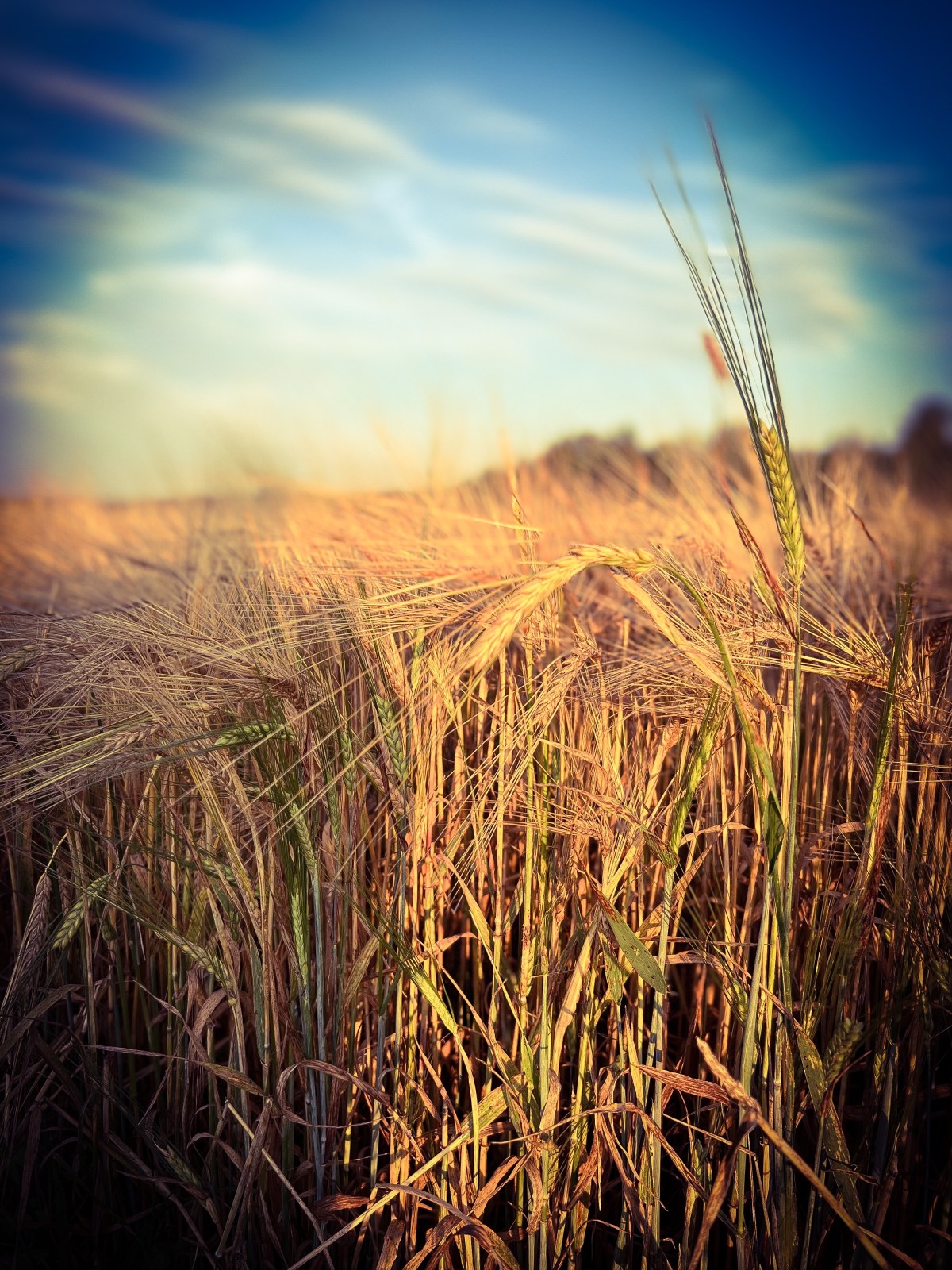 Luuvalo ja Sotkeutujat Sallassa&nbsp;9/2022