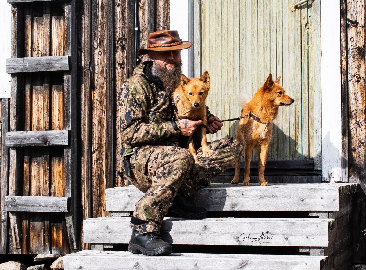 Pystykorvat Posiolla ja&nbsp;jälkeläisnäytöt