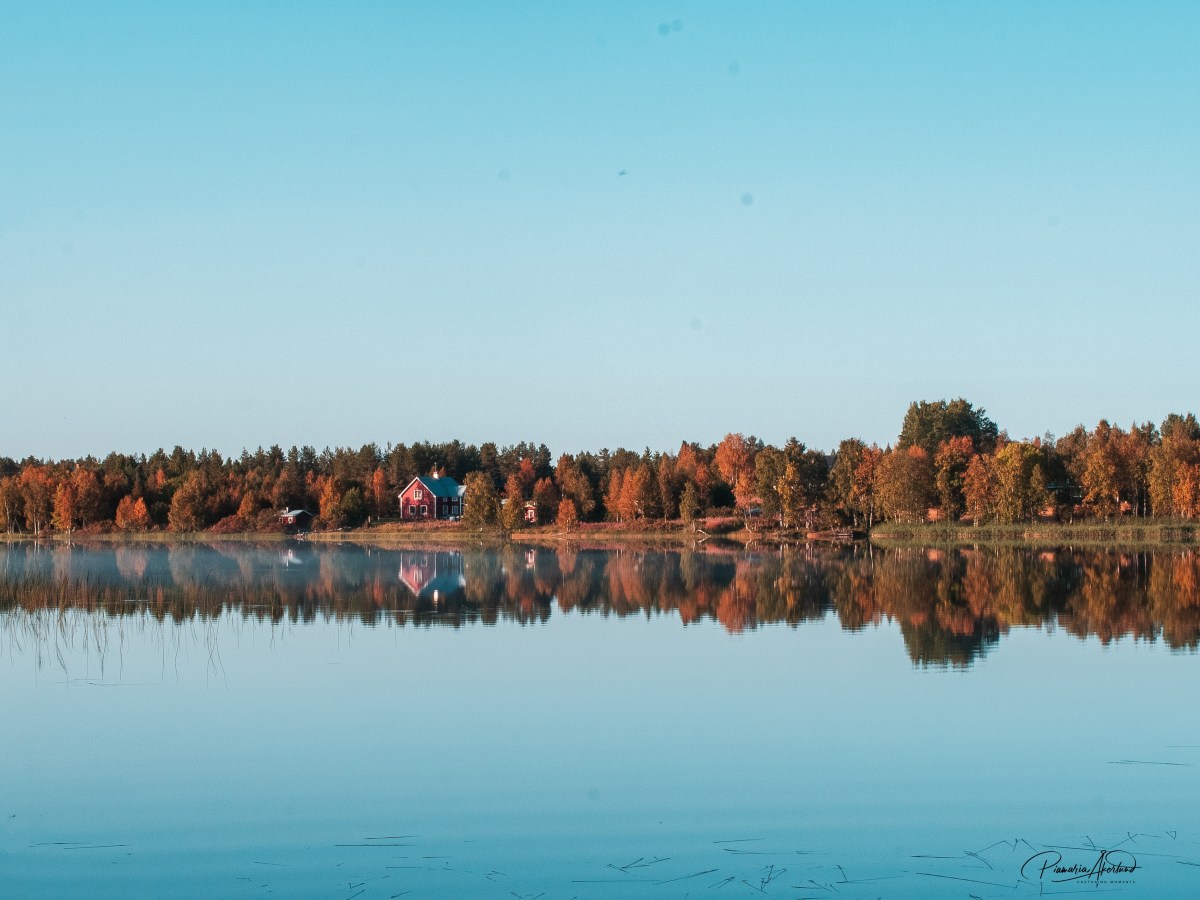 Kokeita, kokeita… ja kasvattien&nbsp;onnistumisia🩷