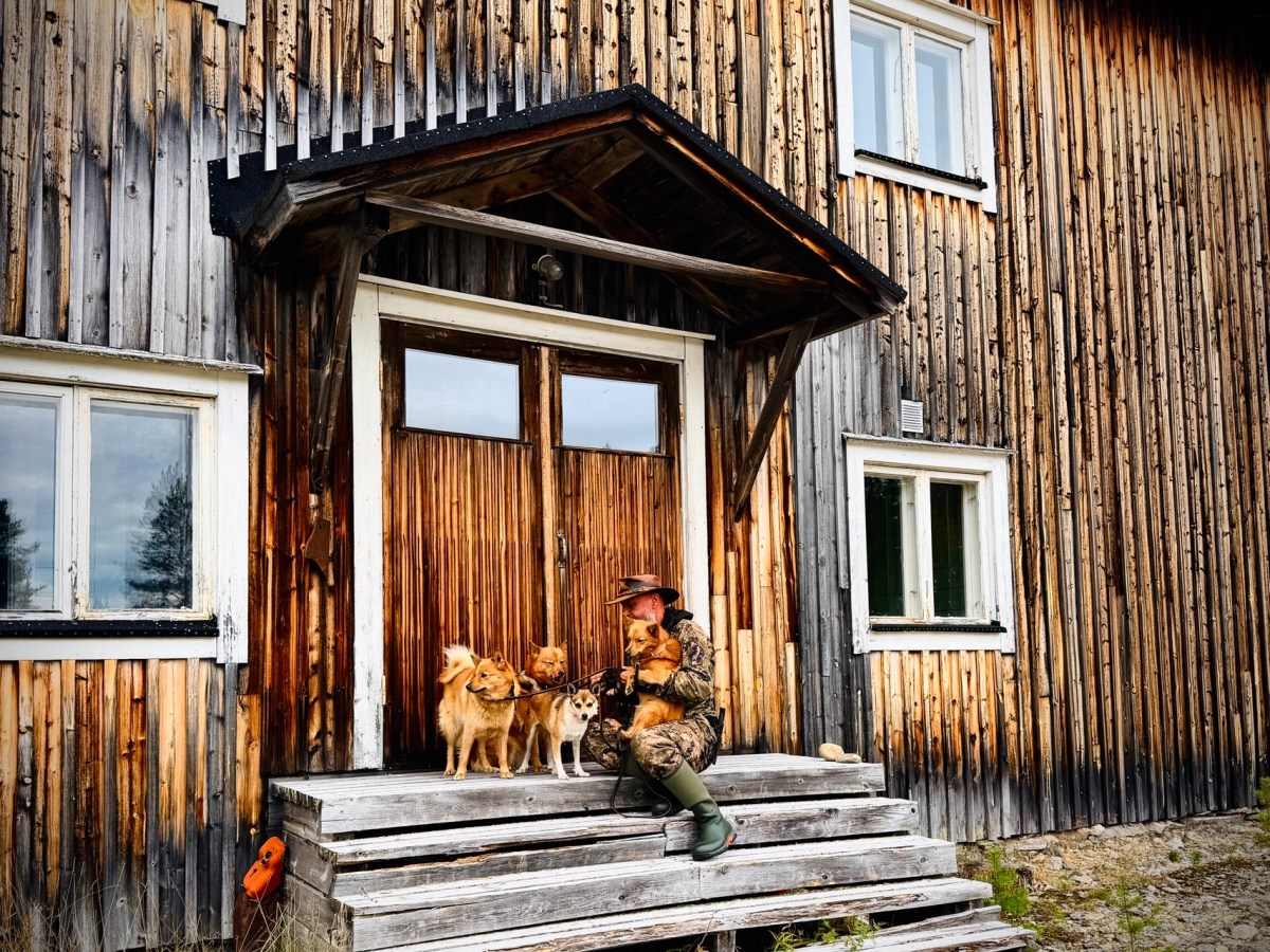 Problemaattiset valetiineydet sekä kadonnut luuvalo&nbsp;palaa